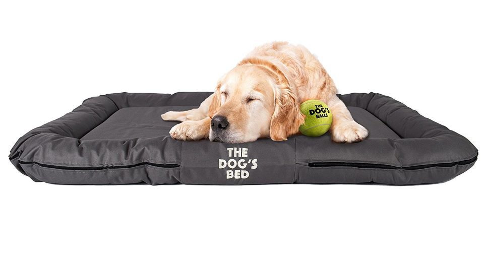 xl waterproof dog bed