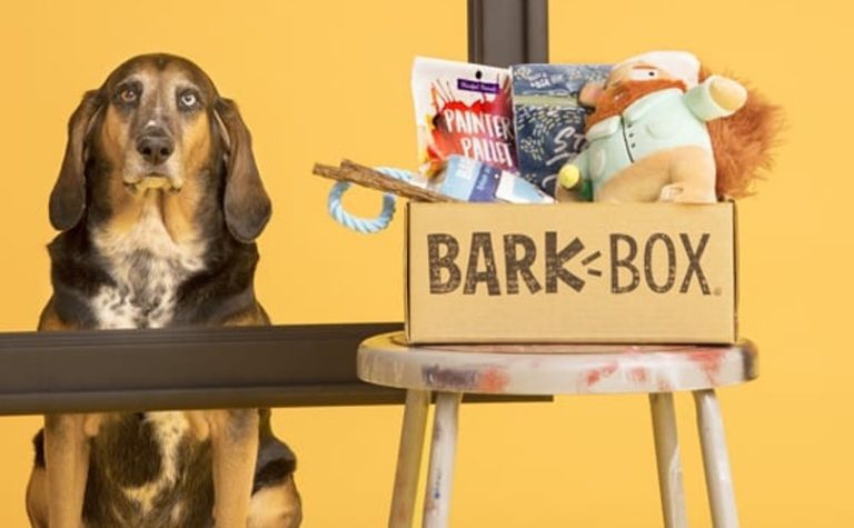 similar to barkbox